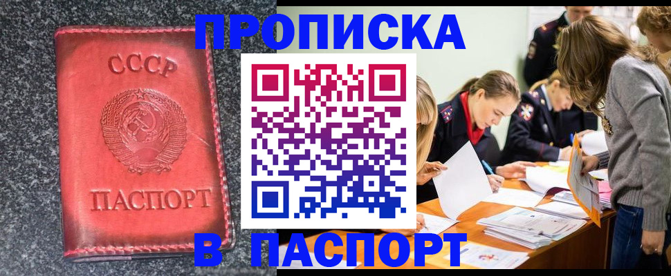 прописка для школы в Алексеевке